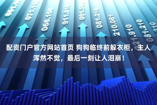 配资门户官方网站首页 狗狗临终前躲衣柜，主人浑然不觉，最后一刻让人泪崩！