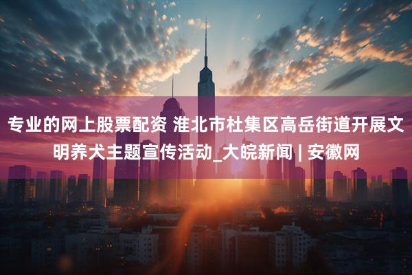 专业的网上股票配资 淮北市杜集区高岳街道开展文明养犬主题宣传活动_大皖新闻 | 安徽网