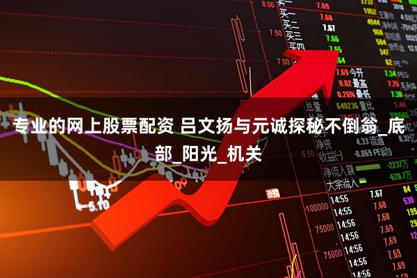 专业的网上股票配资 吕文扬与元诚探秘不倒翁_底部_阳光_机关