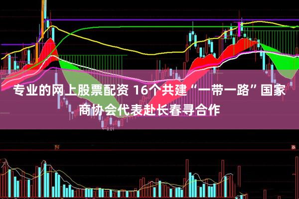 专业的网上股票配资 16个共建“一带一路”国家商协会代表赴长春寻合作