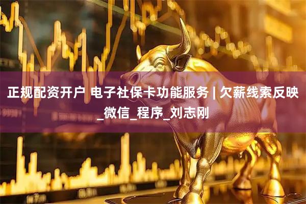 正规配资开户 电子社保卡功能服务 | 欠薪线索反映_微信_程序_刘志刚