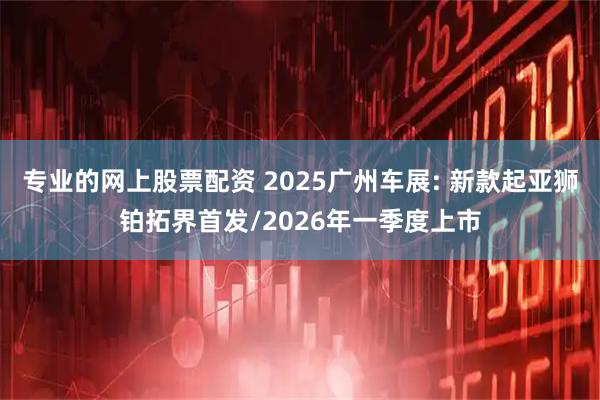 专业的网上股票配资 2025广州车展: 新款起亚狮铂拓界首发/2026年一季度上市